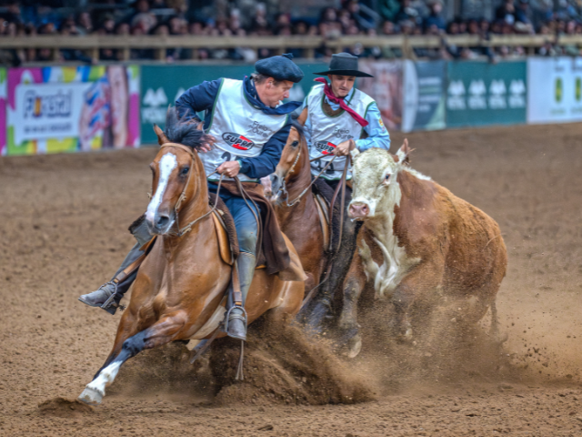'Imagem de destaque do post: 'Brasil e Uruguai brilham no Freio de Ouro 2025 e dividem o pódio em Esteio