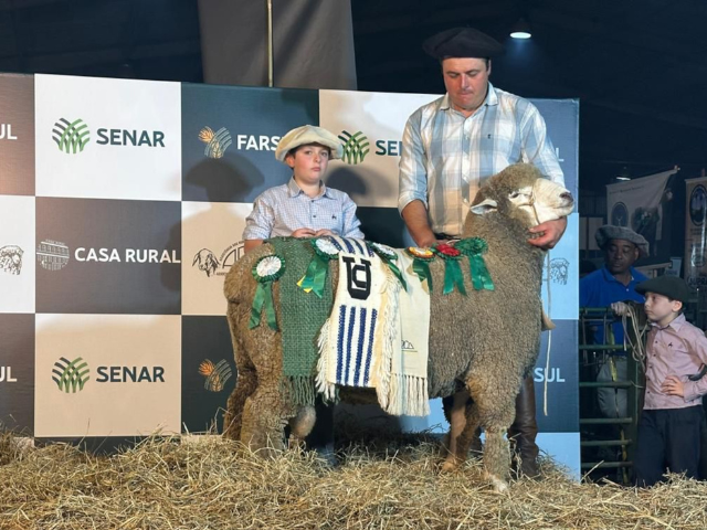 Imagem de destaque do post: Expointer 2025 movimenta quase R$ 1 milhão com venda de ovinos em Esteio