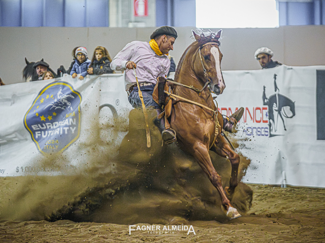 'Imagem de destaque do post: 'Jovem conjunto faz história e conquista o Freio de Europa: primeiro Cavalo Crioulo nascido e treinado na Itália é campeão